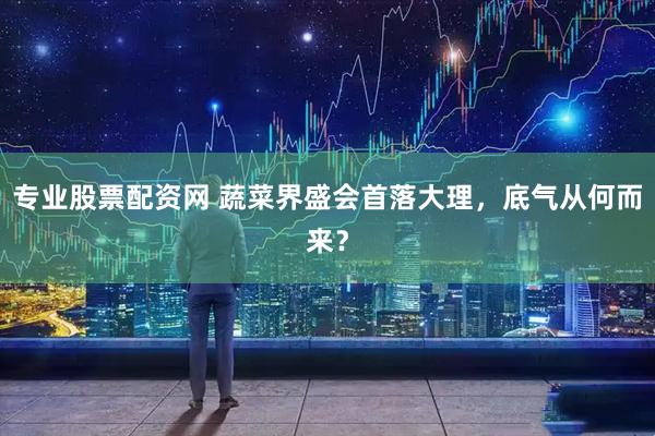 专业股票配资网 蔬菜界盛会首落大理，底气从何而来？